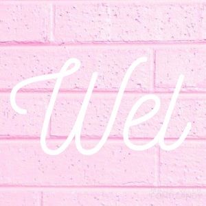 ⚪️💗⚪️💗⚪️💗⚪️💗⚪️💗